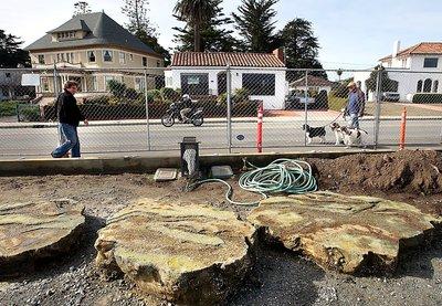 santa-cruz-cowel-beach-stepping-stone-tide-pool-rocks-3