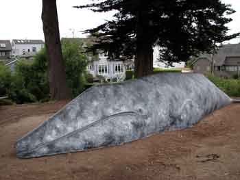 natural-history-museum-santa-cruz-whale-350
